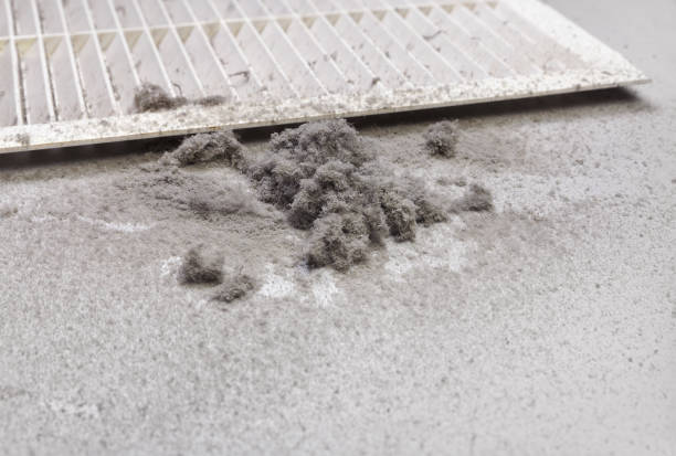 Best Commercial Air Duct Cleaning  in Columbus, NE