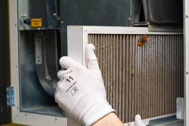 Best Air Duct Cleaning Near Me  in Columbus, NE