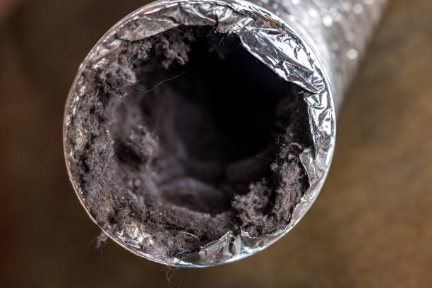 Best Dryer Vent Cleaning Services  in Columbus, NE